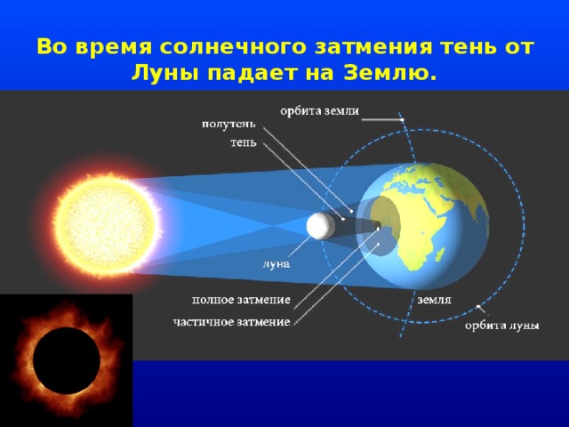 Во время солнечного затмения тень от Луны падает на Землю. 