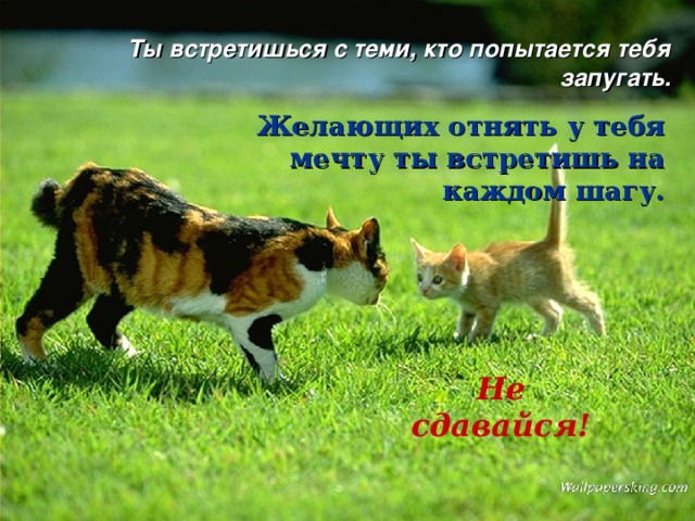 Ты встретишься с теми, кто попытается тебя запугать. Желающих отнять у тебя мечту ты встретишь на каждом шагу. Не сдавайся! 