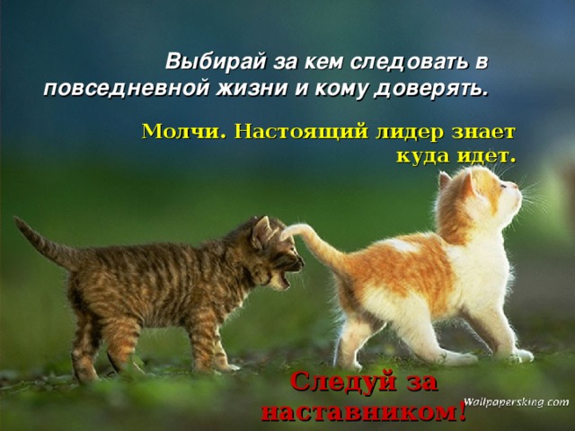 Выбирай за кем следовать в повседневной жизни и кому доверять. Молчи. Настоящий лидер знает куда идет. Следуй за наставником! 