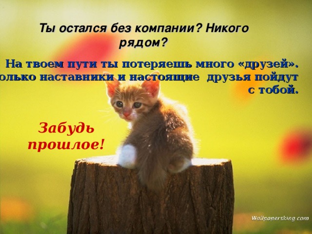 Ты остался без компании? Никого рядом? На твоем пути ты потеряешь много «друзей».  Только наставники и настоящие друзья пойдут с тобой. Забудь прошлое! 