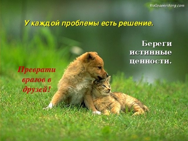 У каждой проблемы есть решение. Береги истинные ценности. Преврати врагов в друзей! 
