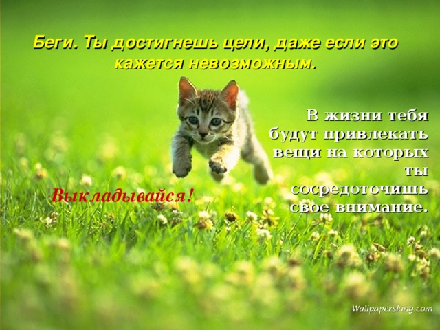 Беги. Ты достигнешь цели, даже если это кажется невозможным. В жизни тебя будут привлекать вещи на которых ты сосредоточишь свое внимание. Выкладывайся! 