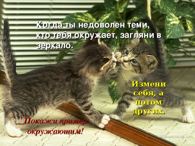 Когда ты недоволен теми, кто тебя окружает, загляни в зеркало. Измени себя, а потом других. Покажи пример окружающим! 