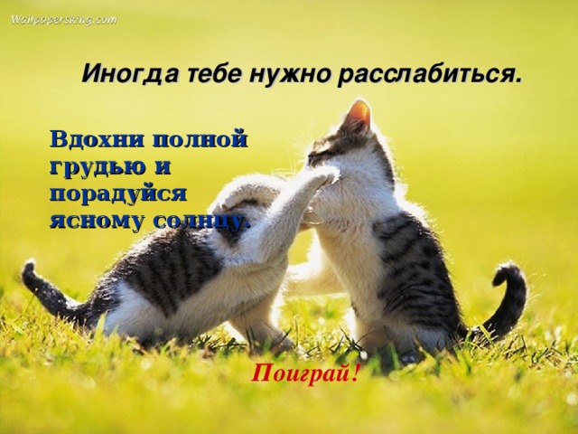 Иногда тебе нужно расслабиться. Вдохни полной грудью и порадуйся ясному солнцу. Поиграй! 