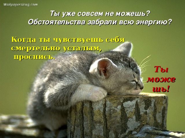 Ты уже совсем не можешь? Обстоятельства забрали всю энергию? Когда ты чувствуешь себя смертельно усталым,  проснись.  Ты можешь! 