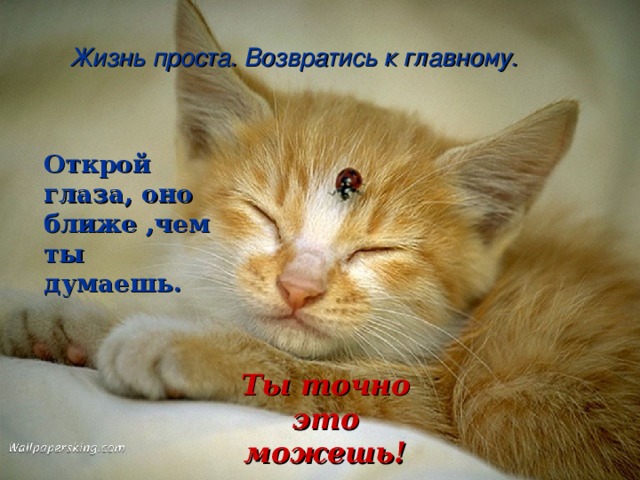 Жизнь проста. Возвратись к главному. Открой глаза, оно ближе ,чем ты думаешь. Ты точно это можешь! 