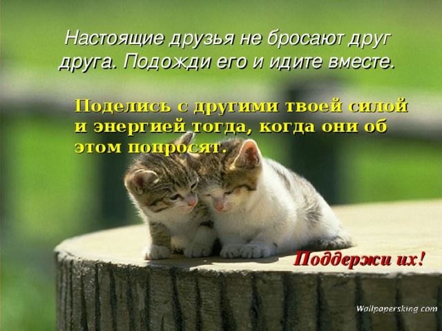 Настоящие друзья не бросают друг друга. Подожди его и идите вместе. Поделись с другими твоей силой и энергией тогда, когда они об этом попросят. Поддержи их! 