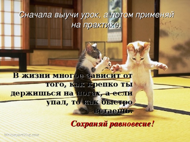 Сначала выучи урок, а потом применяй на практике. В жизни многое зависит от того, как крепко ты держишься на ногах, а если упал, то как быстро встаешь. Сохраняй равновесие! 
