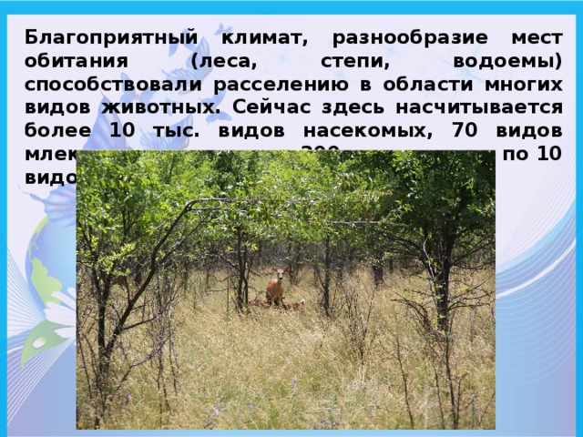 Презентация по окружающему миру на тему "Разнообразие природы родного края ( Кры