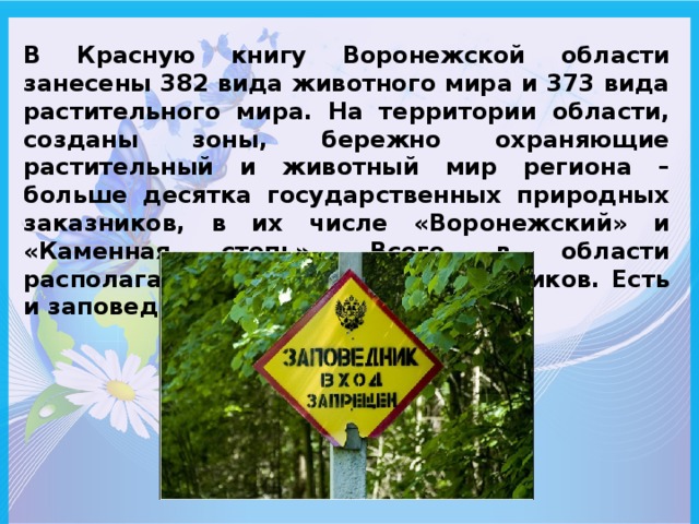 Разнообразие природы родного края амурская область