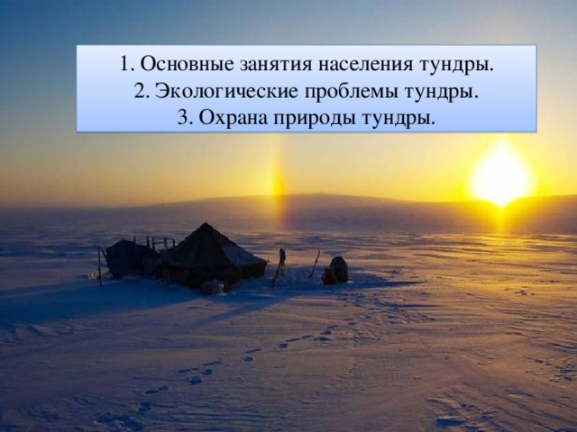 Основные занятия населения тундры. Экологические проблемы тундры. Охрана природы тундры. 