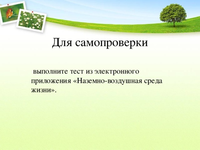 Для самопроверки  выполните тест из электронного приложения «Наземно-воздушная среда жизни». 