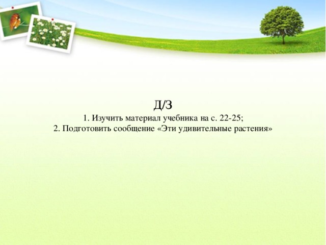 Д/З  1. Изучить материал учебника на с. 22-25;  2. Подготовить сообщение «Эти удивительные растения» 