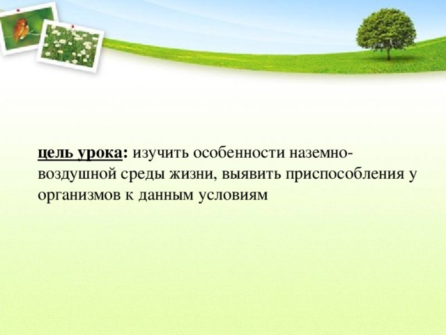 цель урока : изучить особенности наземно-воздушной среды жизни, выявить приспособления у организмов к данным условиям 