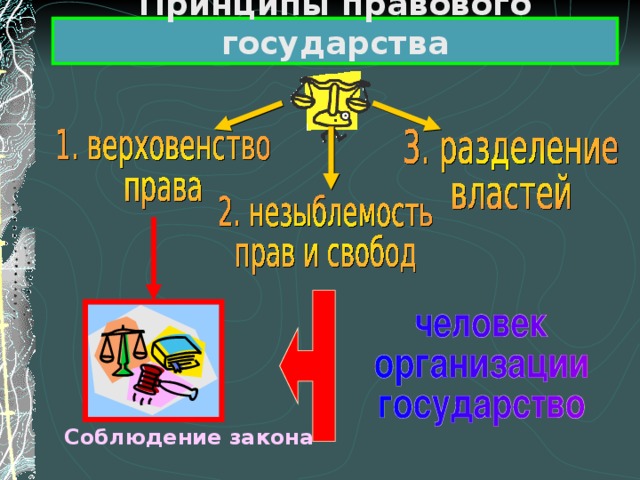 Гражданское общество и правовое государство презентация 11 класс обществознание боголюбов