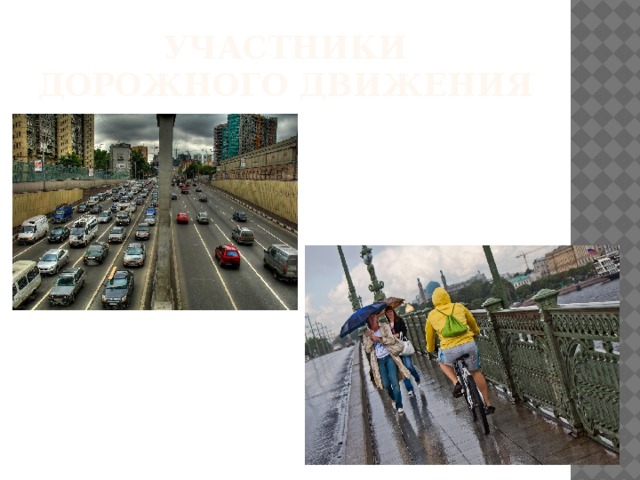 Участники дорожного движения 