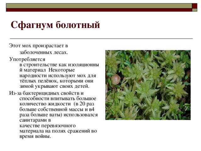 Диаграмма сфагновые мхи