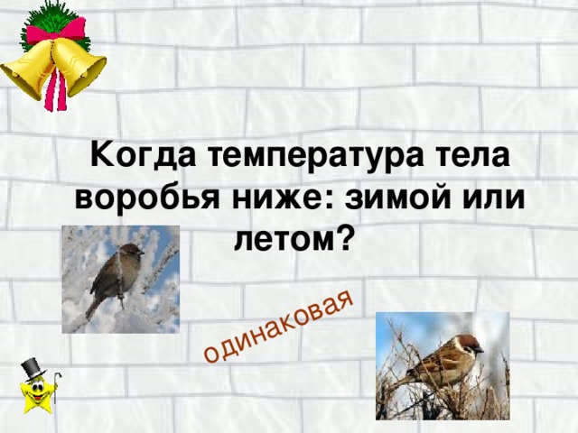 одинаковая Когда температура тела воробья ниже: зимой или летом?  