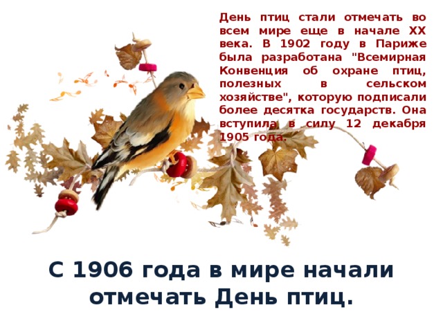 День птиц стали отмечать во всем мире еще в начале XX века. В 1902 году в Париже была разработана 