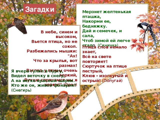 Загадки Мерзнет желтенькая пташка, Накорми ее, бедняжку. Дай и семечек, и сала, Чтоб зимой ей легче стал о. (Синичка) В небе, синем и высоком, Вьется птица, но не сокол. Разбежались мышки: 