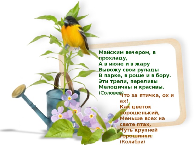 Майским вечером, в прохладу, А в июне и в жару Вывожу свои рулады В парке, в роще и в бору. Эти трели, переливы Мелодичны и красивы. (Соловей) Что за птичка, ох и ах! Как цветок хорошенький, Меньше всех на свете птах, Чуть крупней горошинки. (Колибри) 