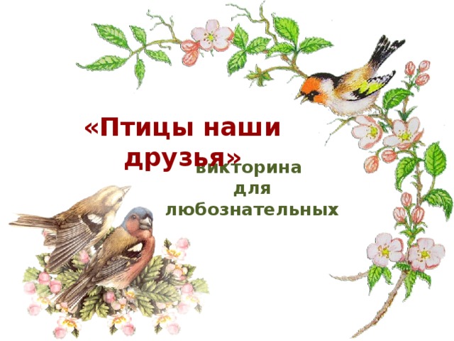 «Птицы наши друзья» викторина для любознательных 