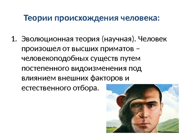 Теории происхождения человека: Эволюционная теория (научная). Человек произошел от высших приматов – человекоподобных существ путем постепенного видоизменения под влиянием внешних факторов и естественного отбора. 