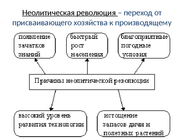 Неолитическая революция – переход от присваивающего хозяйства к производящему 