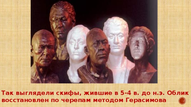 Так выглядели скифы, жившие в 5-4 в. до н.э. Облик восстановлен по черепам методом Герасимова 