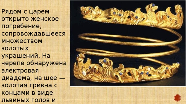 Рядом с царем открыто женское погребение, сопровождавшееся множеством золотых украшений. На черепе обнаружена электровая диадема, на шее — золотая гривна с концами в виде львиных голов и ожерелье, на руках — браслеты…» 