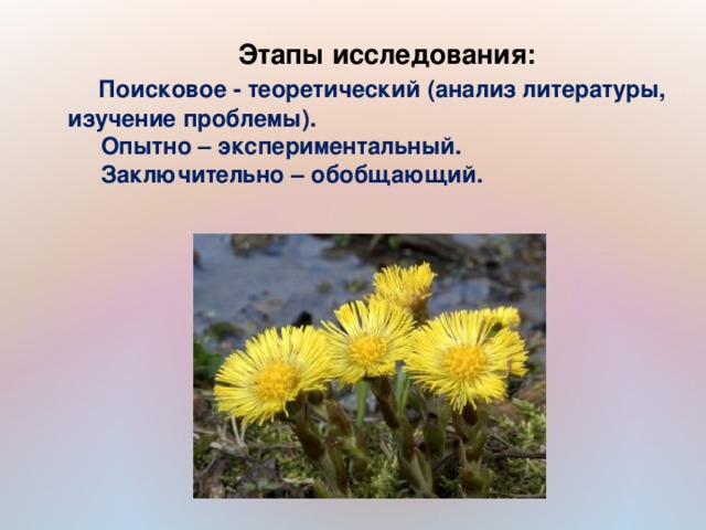 Этапы исследования:  Поисковое - теоретический (анализ литературы, изучение проблемы).  Опытно – экспериментальный.  Заключительно – обобщающий.