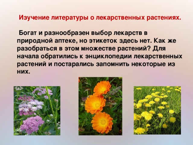 Изучение литературы о лекарственных растениях.   Богат и разнообразен выбор лекарств в природной аптеке, но этикеток здесь нет. Как же разобраться в этом множестве растений? Для начала обратились к энциклопедии лекарственных растений и постарались запомнить некоторые из них.