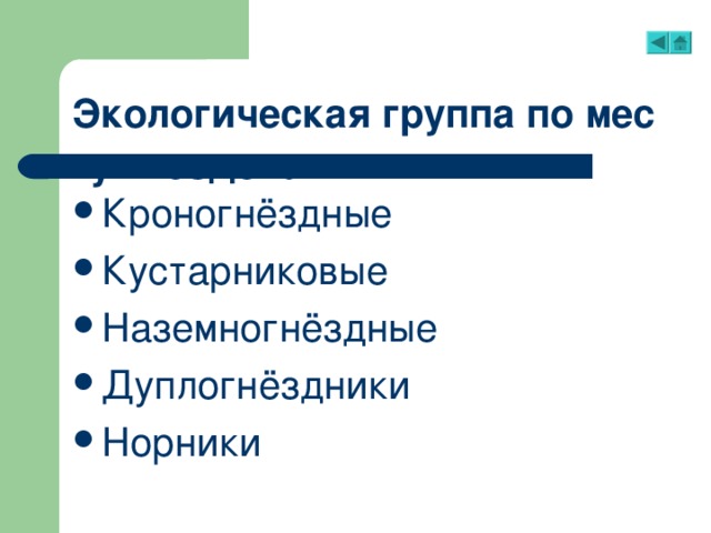 Экологическая группа по месту гнездования Кроногнёздные Кустарниковые Наземногнёздные Дуплогнёздники Норники 