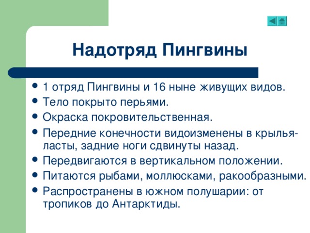 Надотряд Пингвины 1 отряд Пингвины и 16 ныне живущих видов. Тело покрыто перьями. Окраска покровительственная . Передние конечности видоизменены в крылья-ласты, задние ноги сдвинуты назад. Передвигаются в вертикальном положении. Питаются рыбами, моллюсками, ракообразными. Распространены в южном полушарии: от тропиков до Антарктиды. 