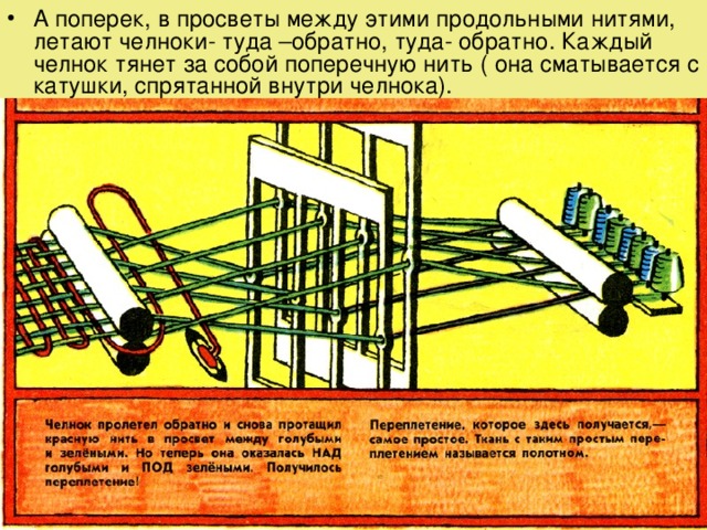 А поперек, в просветы между этими продольными нитями, летают челноки- туда –обратно, туда- обратно. Каждый челнок тянет за собой поперечную нить ( она сматывается с катушки, спрятанной внутри челнока). 