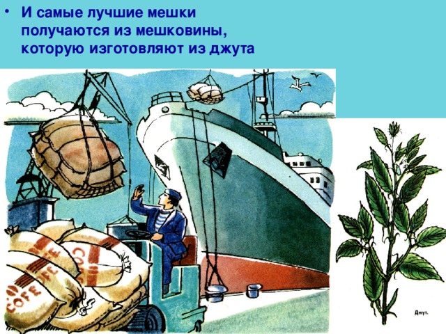 И самые лучшие мешки получаются из мешковины, которую изготовляют из джута 