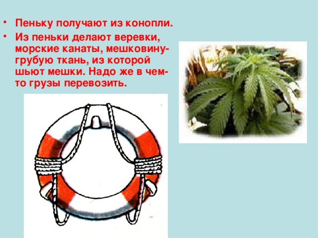 Пеньку получают из конопли. Из пеньки делают веревки, морские канаты, мешковину- грубую ткань, из которой шьют мешки. Надо же в чем-то грузы перевозить. 