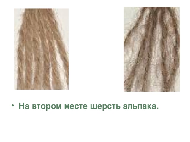 На втором месте шерсть альпака. 