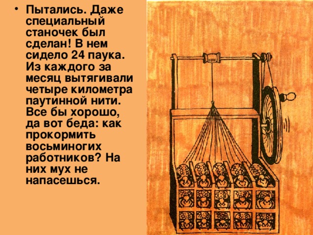 Пытались. Даже специальный станочек был сделан! В нем сидело 24 паука. Из каждого за месяц вытягивали четыре километра паутинной нити. Все бы хорошо, да вот беда: как прокормить восьминогих работников? На них мух не напасешься. 