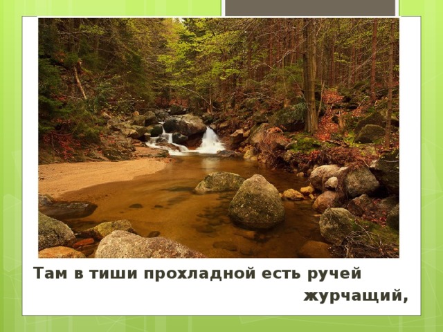 Там в тиши прохладной есть ручей  журчащий,