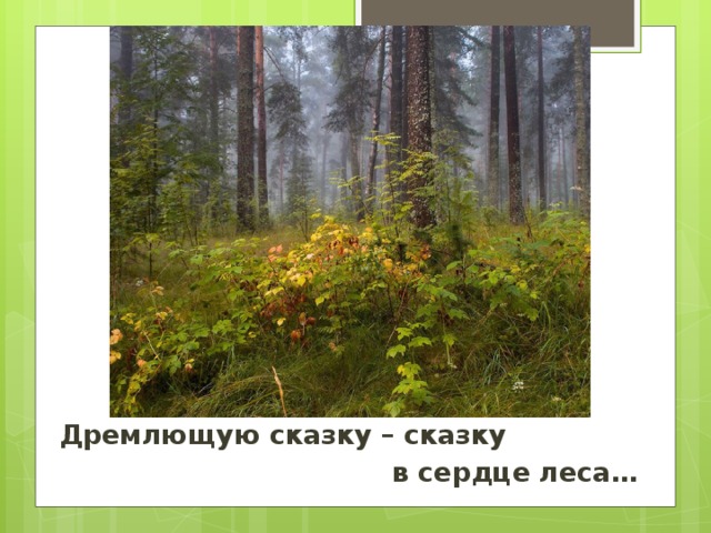 Дремлющую сказку – сказку  в сердце леса…