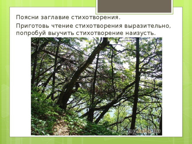 Поясни заглавие стихотворения. Приготовь чтение стихотворения выразительно, попробуй выучить стихотворение наизусть.