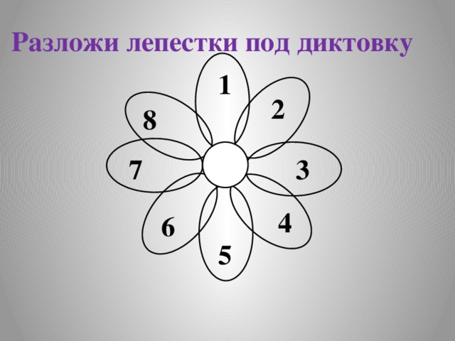 Разложи лепестки под диктовку 1 2 8 3 7 4 6 5