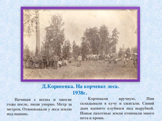 Д.Корнеевка. На корчевке леса.  1938г. Корчевали вручную. Пни складывали в кучу и сжигали. Синий дым ядовито клубился над вырубкой. Новые пахотные земли отнимали много пота и крови. Начиная с весны и многие годы после, люди упорно. Метр за метром. Отвоевывали у леса землю под пашню.  
