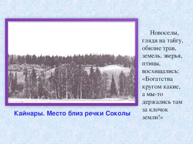  Новоселы, глядя на тайгу, обилие трав, земель, зверья, птицы, восхищались: «Богатства кругом какие, а мы-то держались там за клочок земли!»   Кайнары. Место близ речки Соколы  
