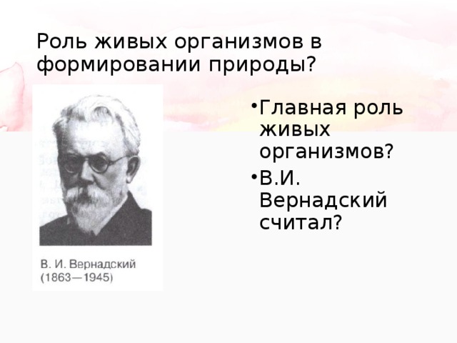 Роль живых организмов в формировании природы? Главная роль живых организмов? В.И. Вернадский считал? 