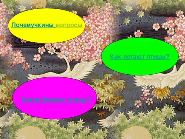 Почемучкины  вопросы Как летают птицы ? Какие бывают птицы ? 