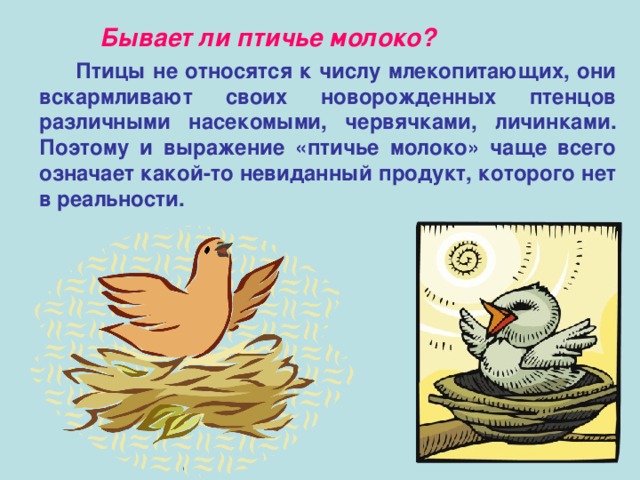 Бывает ли птичье молоко?  Птицы не относятся к числу млекопитающих, они вскармливают своих новорожденных птенцов различными насекомыми, червячками, личинками. Поэтому и выражение «птичье молоко» чаще всего означает какой-то невиданный продукт, которого нет в реальности.  