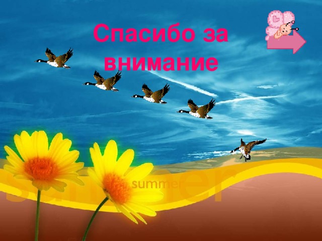 Спасибо за внимание 