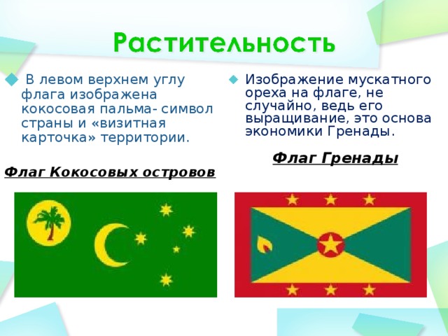  В левом верхнем углу флага изображена кокосовая пальма- символ страны и «визитная карточка» территории. Изображение мускатного ореха на флаге, не случайно, ведь его выращивание, это основа экономики Гренады. Флаг Гренады  Флаг Кокосовых островов 